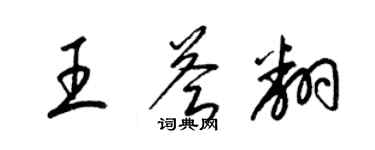 梁锦英王荟翻草书个性签名怎么写