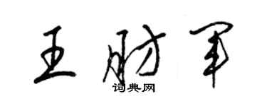 梁锦英王肪军草书个性签名怎么写