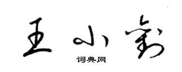 梁锦英王小刘草书个性签名怎么写