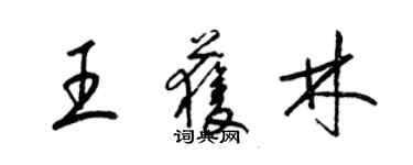 梁锦英王获林草书个性签名怎么写