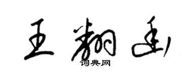 梁锦英王翻幽草书个性签名怎么写