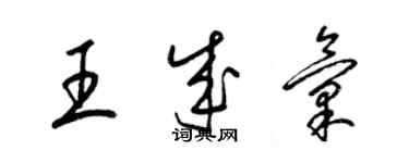 梁锦英王成汇草书个性签名怎么写