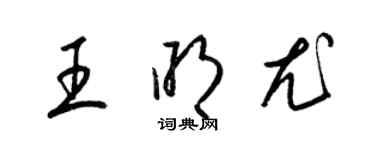 梁锦英王明尤草书个性签名怎么写