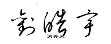 梁锦英刘皓宇草书个性签名怎么写