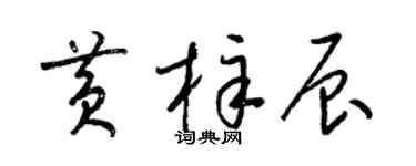 梁锦英黄梓辰草书个性签名怎么写