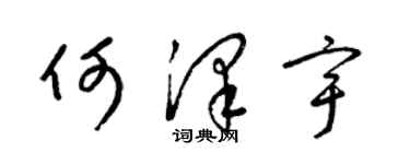 梁锦英何泽宇草书个性签名怎么写