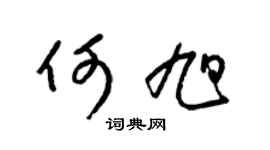 梁锦英何旭草书个性签名怎么写
