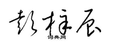 梁锦英彭梓辰草书个性签名怎么写