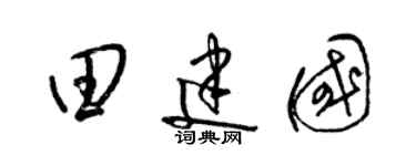 梁锦英田建国草书个性签名怎么写