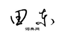 梁锦英田东草书个性签名怎么写