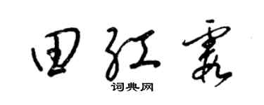 梁锦英田红霞草书个性签名怎么写