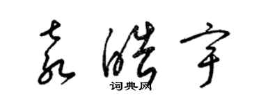 梁锦英袁皓宇草书个性签名怎么写