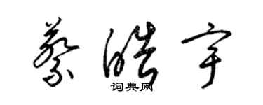 梁锦英蔡皓宇草书个性签名怎么写
