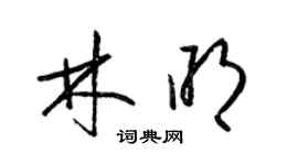 梁锦英林明草书个性签名怎么写