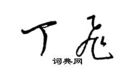 梁锦英丁飞草书个性签名怎么写