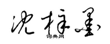 梁锦英沈梓墨草书个性签名怎么写