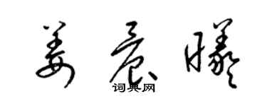 梁锦英姜晨曦草书个性签名怎么写