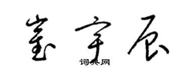 梁锦英崔宇辰草书个性签名怎么写