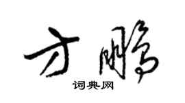 梁锦英方鹏草书个性签名怎么写