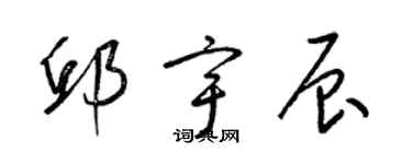 梁锦英邱宇辰草书个性签名怎么写