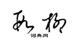 梁锦英段柳草书个性签名怎么写