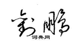 梁锦英刘鹏草书个性签名怎么写