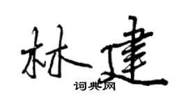 曾庆福林建行书个性签名怎么写
