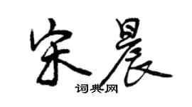 曾庆福宋晨行书个性签名怎么写