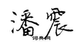 曾庆福潘震行书个性签名怎么写