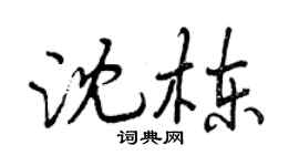 曾庆福沈栋行书个性签名怎么写