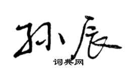 曾庆福孙辰行书个性签名怎么写