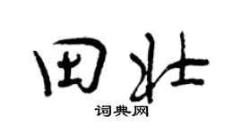 曾庆福田壮行书个性签名怎么写