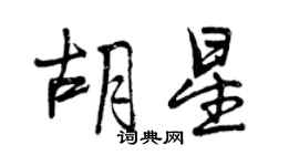 曾庆福胡星行书个性签名怎么写