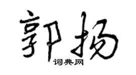 曾庆福郭扬行书个性签名怎么写
