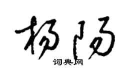 梁锦英杨阳草书个性签名怎么写