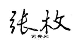 曾庆福张枚行书个性签名怎么写