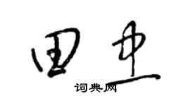 梁锦英田忠草书个性签名怎么写
