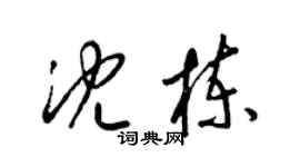 梁锦英沈栋草书个性签名怎么写