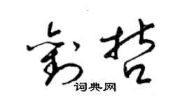 梁锦英刘哲草书个性签名怎么写