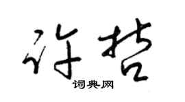 梁锦英许哲草书个性签名怎么写
