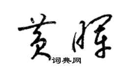 梁锦英黄晖草书个性签名怎么写