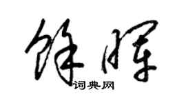 梁锦英余晖草书个性签名怎么写