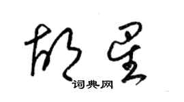 梁锦英胡星草书个性签名怎么写
