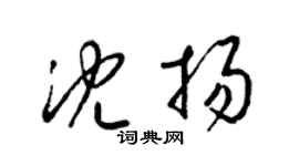 梁锦英沈扬草书个性签名怎么写