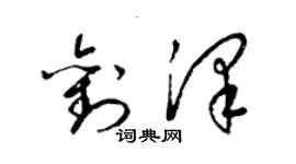 梁锦英刘泽草书个性签名怎么写