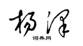 梁锦英杨泽草书个性签名怎么写