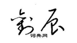 梁锦英刘辰草书个性签名怎么写