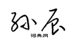 梁锦英孙辰草书个性签名怎么写