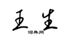 梁锦英王生草书个性签名怎么写