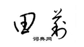 梁锦英田莉草书个性签名怎么写